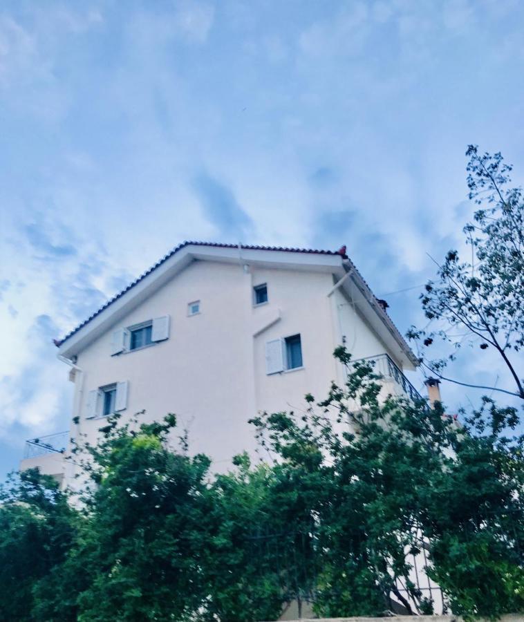 Beautiful Maisonette With A View To The Mountains And The Sea Agia Marina (Attica)