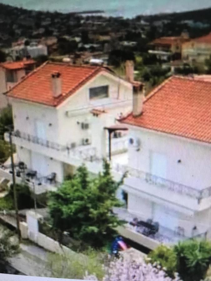 Apartment Beautiful Maisonette With A View To The Mountains And The Sea Agia Marina (Attica)